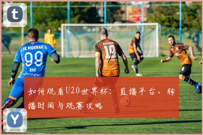 如何观看U20世界杯：直播平台、转播时间与观赛攻略
